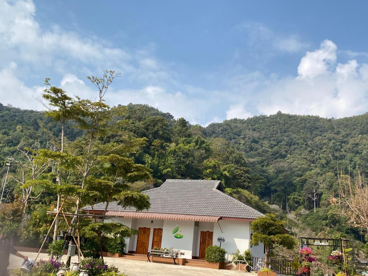 Thai Tea Garden Home Chiang Rai Esterno foto